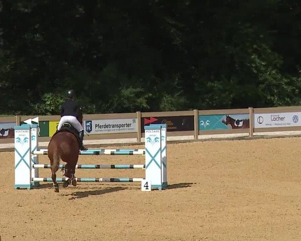 Reitturnier Tiefenhof 2023