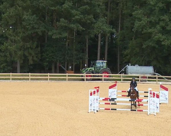 Reitturnier Tiefenhof 2023