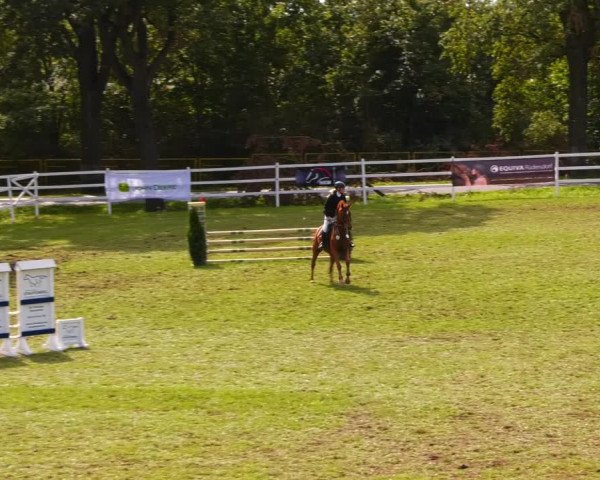 Reitturnier Müncheberg 2023