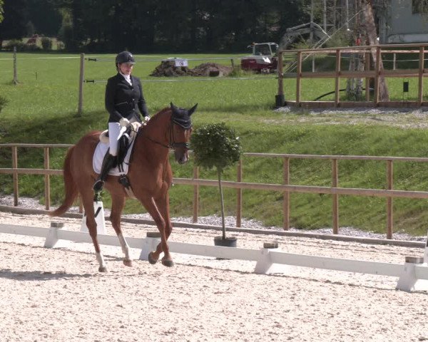Reitturnier St. Ulrich am Pillersee 2023