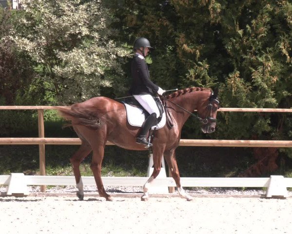 Reitturnier St. Ulrich am Pillersee 2023