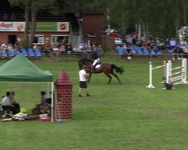 Reitturnier Dannenberg 2023