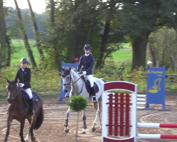 Reitturnier Baitz 2021