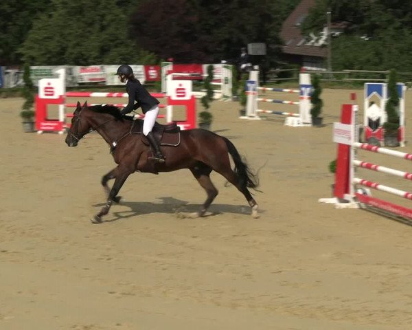 Reitturnier Vlotho-Valdorf 2023