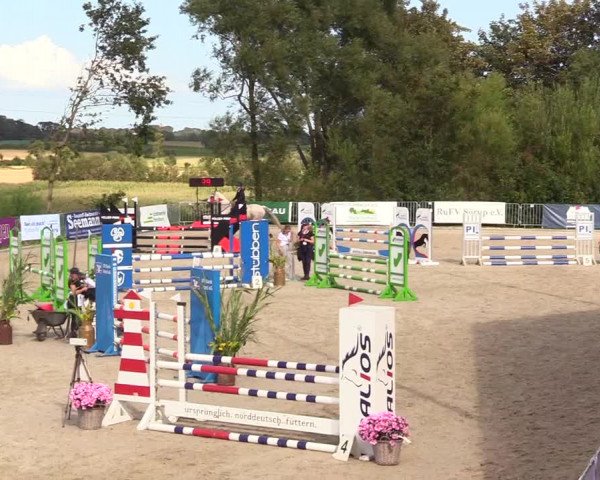 Reitturnier Sörup 2023