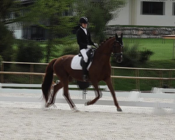 Reitturnier St. Ulrich am Pillersee 2023