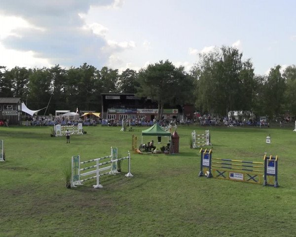 Reitturnier Dannenberg 2023