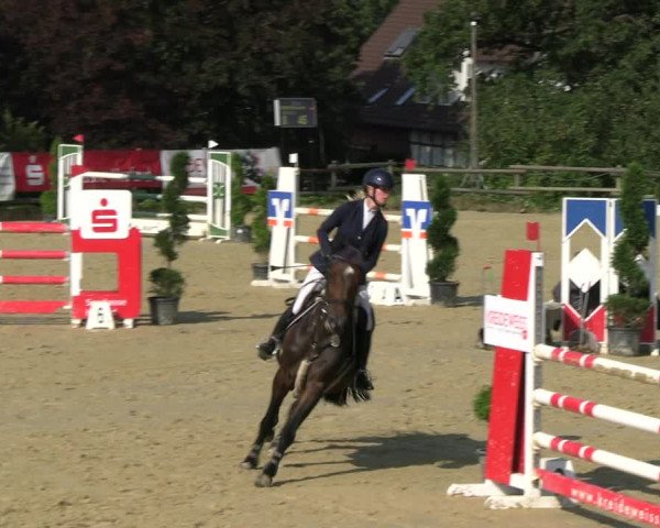 Reitturnier Vlotho-Valdorf 2023