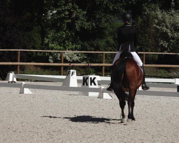 Reitturnier St. Ulrich am Pillersee 2023