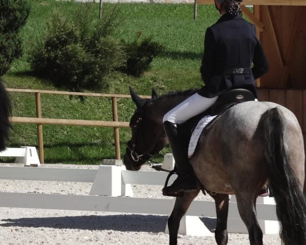 Reitturnier St. Ulrich am Pillersee 2023
