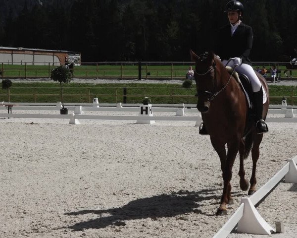 Reitturnier St. Ulrich am Pillersee 2023