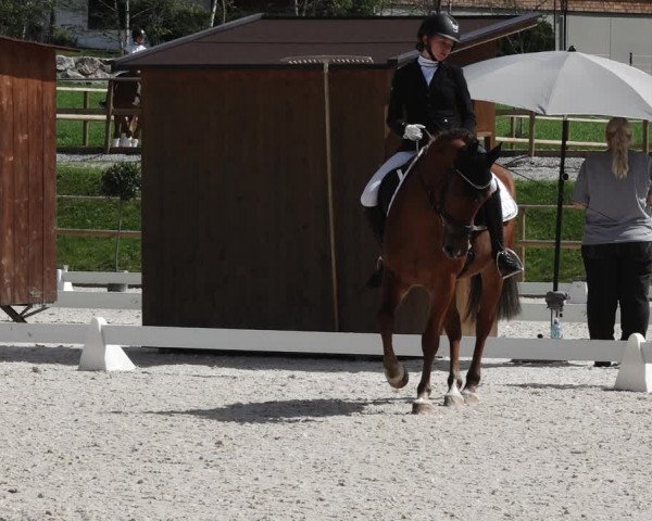 Reitturnier St. Ulrich am Pillersee 2023