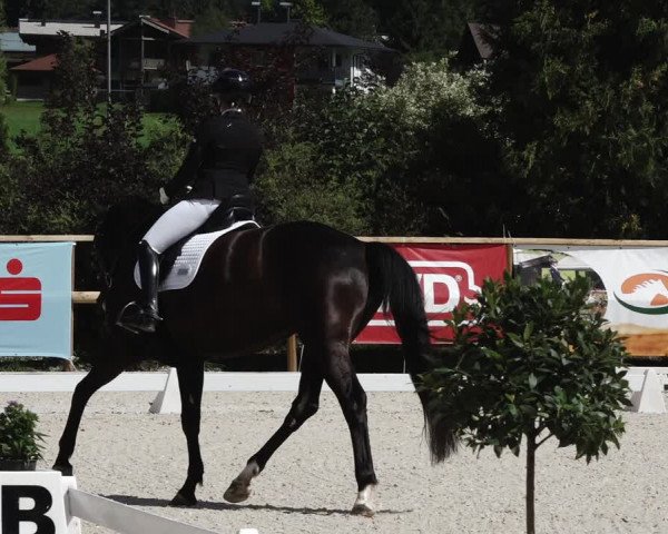 Reitturnier St. Ulrich am Pillersee 2023