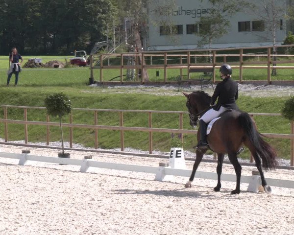 Reitturnier St. Ulrich am Pillersee 2023