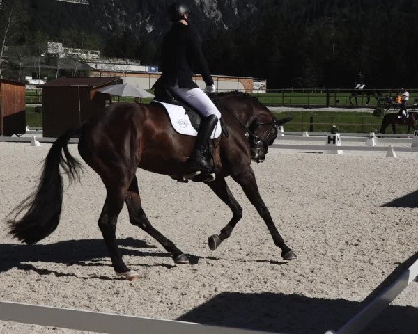 Reitturnier St. Ulrich am Pillersee 2023