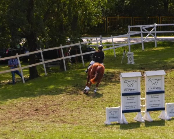 Reitturnier Müncheberg 2023