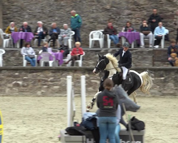 Erntedank Springturnier Nörten-Hardenberg 2021