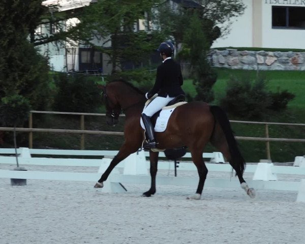 Reitturnier St. Ulrich am Pillersee 2023