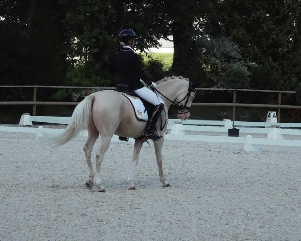 Reitturnier St. Ulrich am Pillersee 2023