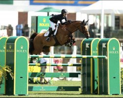 jumper Emorkus Re (KWPN (Royal Dutch Sporthorse), 2009, from Quasimodo vd Molendreef)