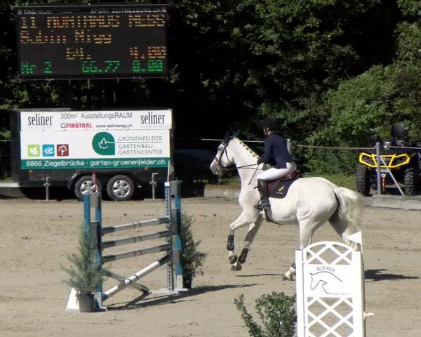 Reitturnier Maienfeld 2023