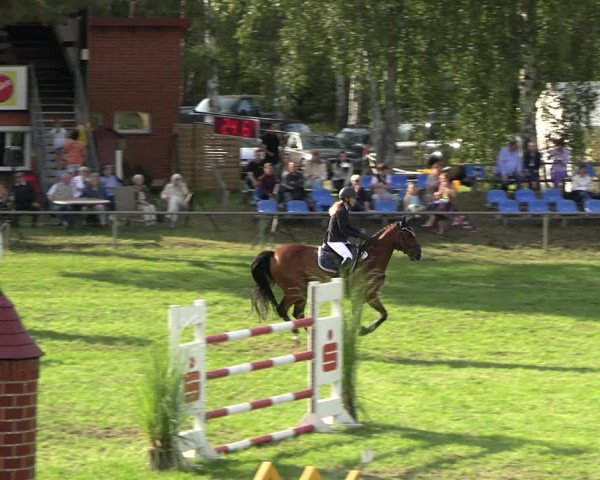 Reitturnier Dannenberg 2023