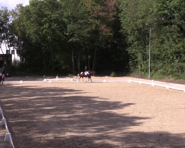 Reitturnier Köln-Flittard (Scheuerhof) 2023