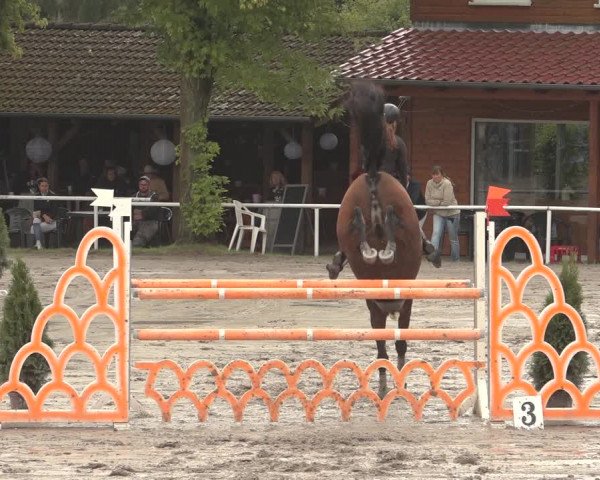 Reitturnier Richelsdorf 2023