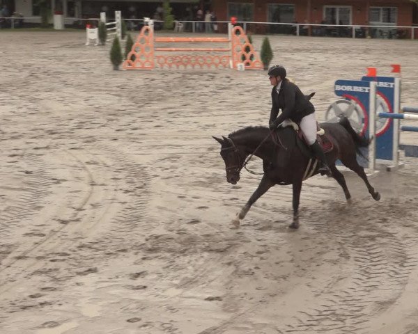 Reitturnier Richelsdorf 2023