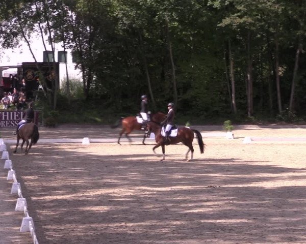 Reitturnier Köln-Flittard (Scheuerhof) 2023