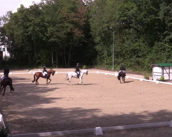 Reitturnier Köln-Flittard (Scheuerhof) 2023