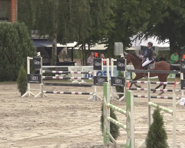 Reitturnier Richelsdorf 2023