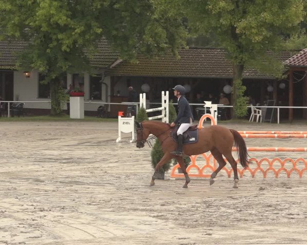 Reitturnier Richelsdorf 2023