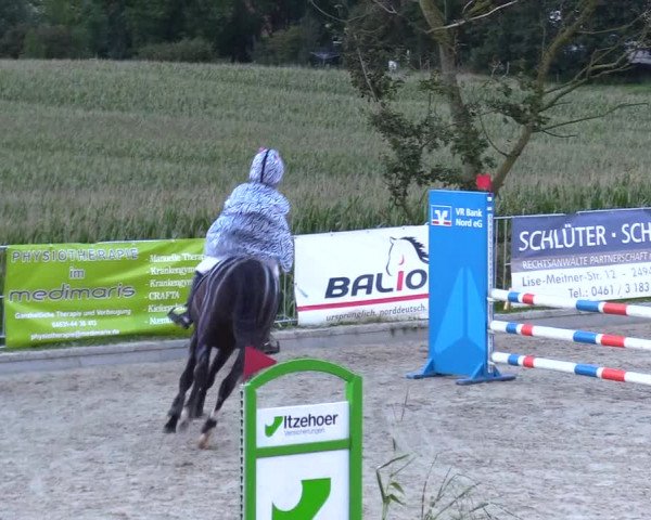 Reitturnier Sörup 2023