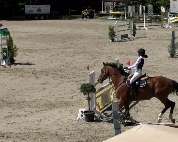 Reitturnier Maienfeld 2023