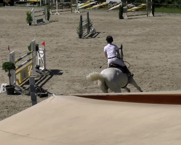 Reitturnier Maienfeld 2023