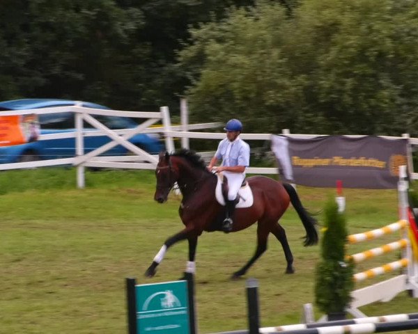Reitturnier Müncheberg 2023