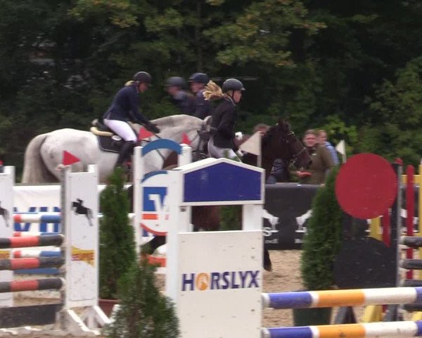 Reitturnier Albersdorf Dithmarsenpark 2021