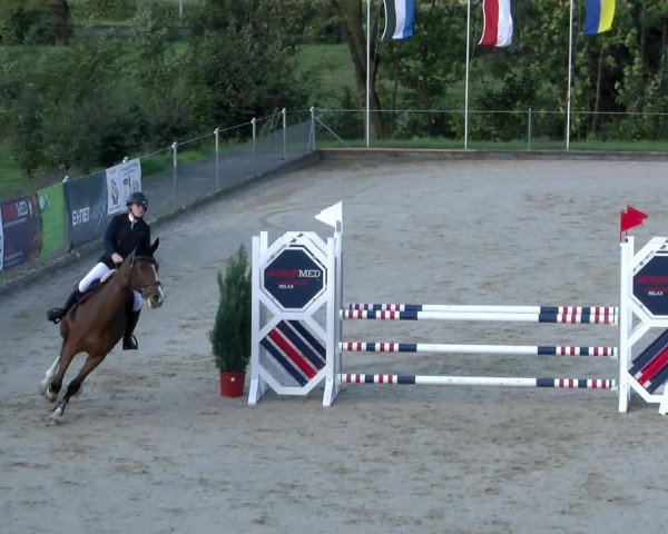 Reitturnier Maienfeld 2023