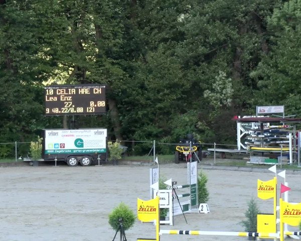 Reitturnier Maienfeld 2023