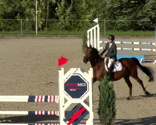 Reitturnier Maienfeld 2023