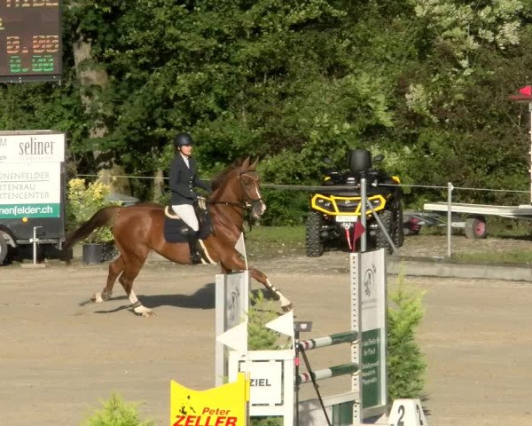 Reitturnier Maienfeld 2023