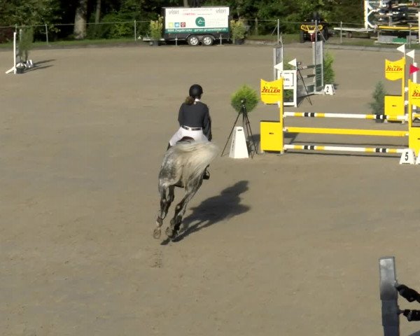 Reitturnier Maienfeld 2023