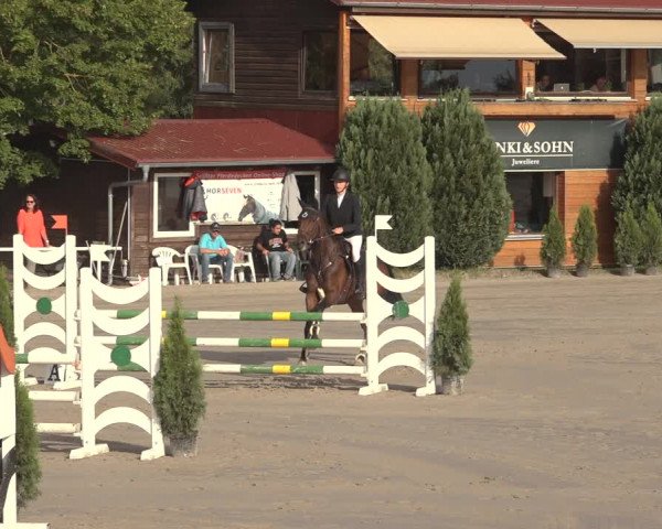 Reitturnier Richelsdorf 2023