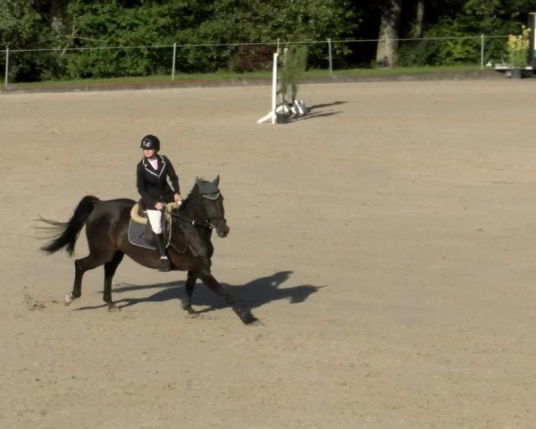 Reitturnier Maienfeld 2023