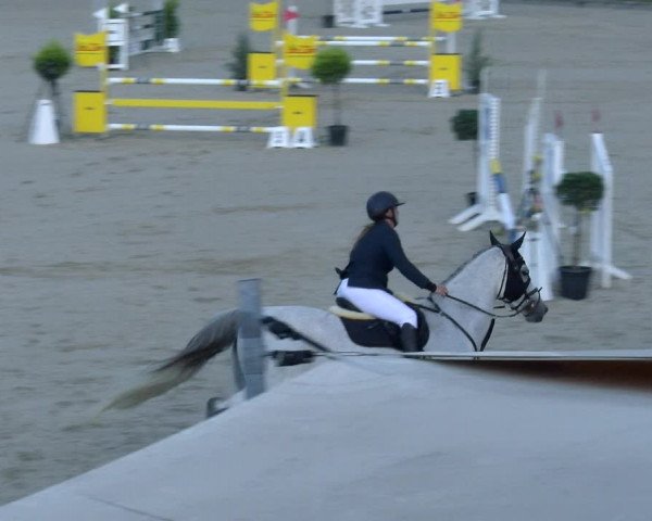 Reitturnier Maienfeld 2023