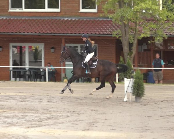 Reitturnier Richelsdorf 2023