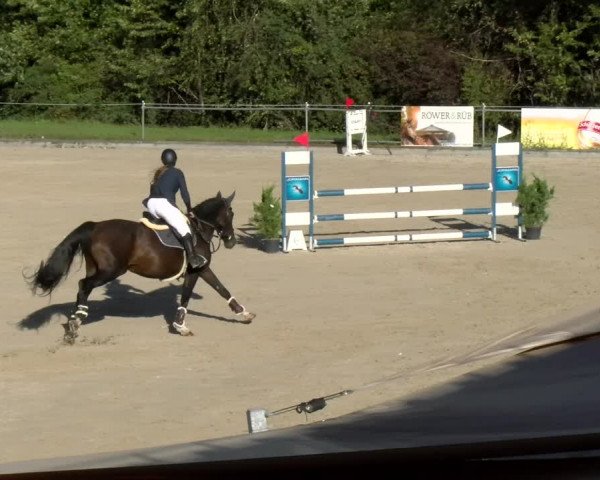 Reitturnier Maienfeld 2023