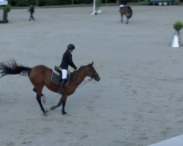 Reitturnier Maienfeld 2023