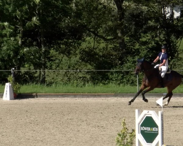 Reitturnier Maienfeld 2023